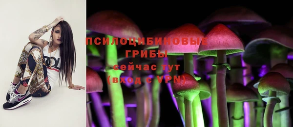 прущий лед Алексеевка