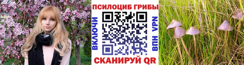 Псилоцибиновые грибы Psilocybe  Юрьевец 